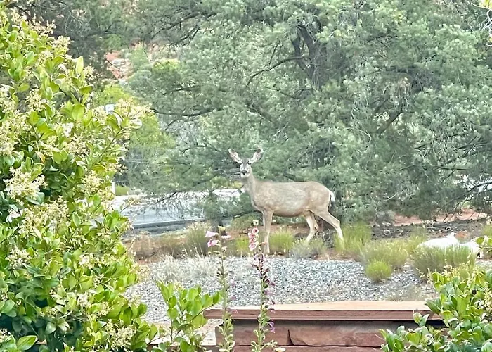 Ferienhaus Casa Azul In The Red Rocks Sedona